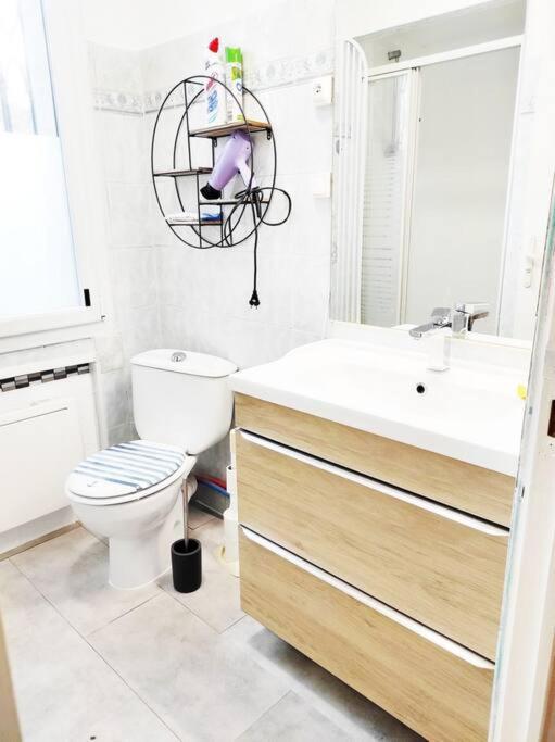 T2 Ds Villa-Terrasse-Clim-Pkg-Meet- Zenith-Odyssud Тулуза Экстерьер фото